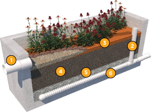 Six componets of biofiltration work together to remove impurities from stormwater.