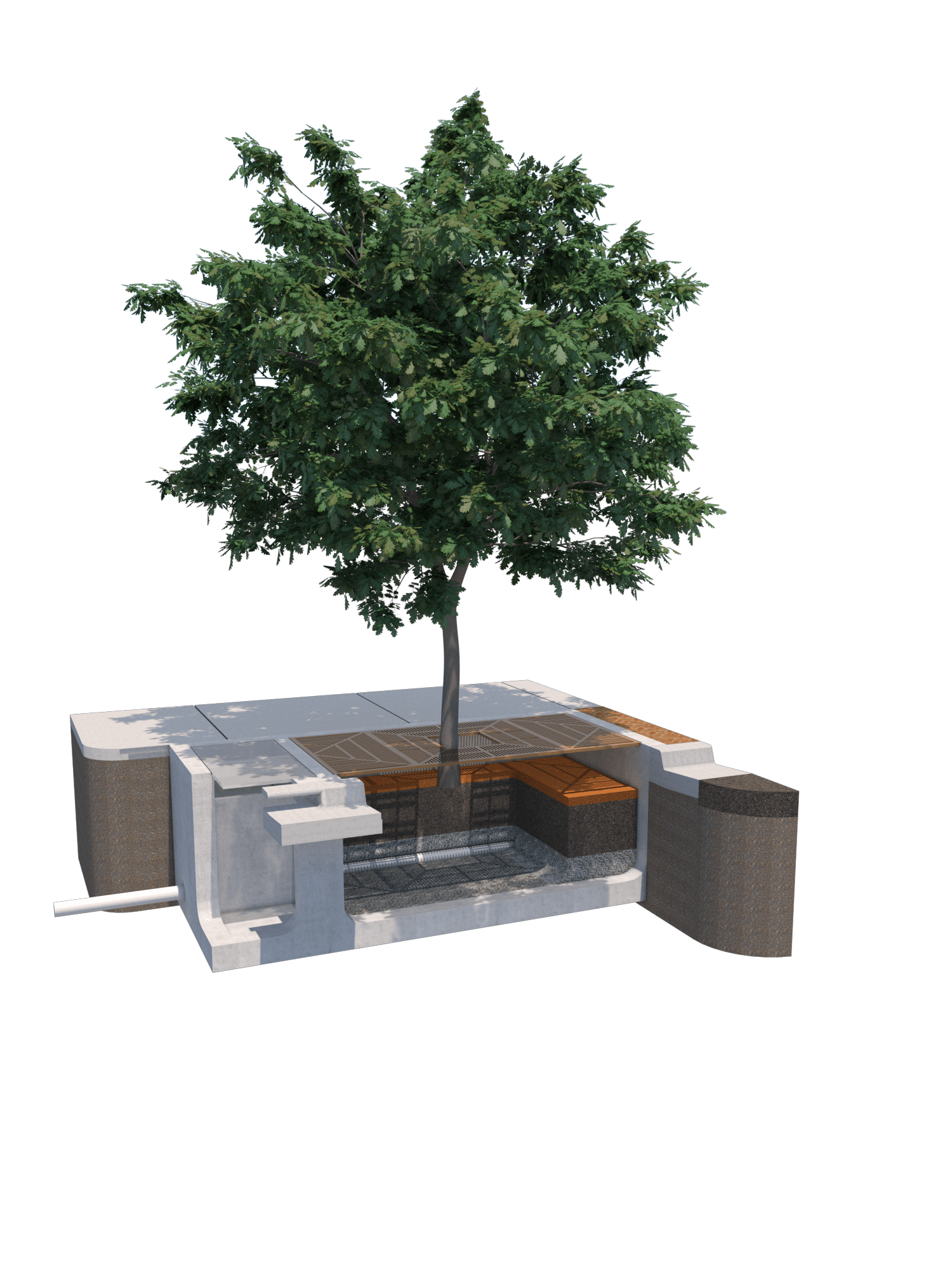 Biofiltration Tree Box | Jensen Infrastructure